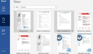 Resume ms word