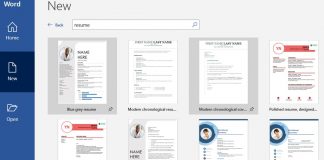 Resume ms word