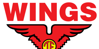 lowongan kerja wings group